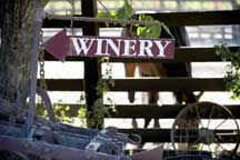 Winery Sign