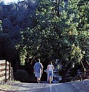 Walking Down a Path