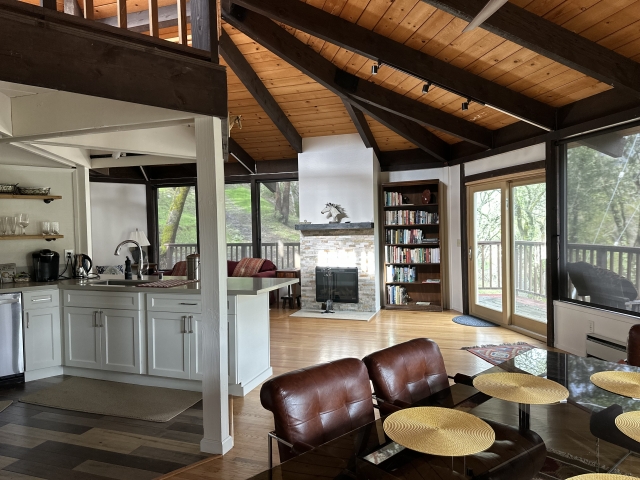 Kitchen and Living room view
