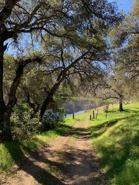A look down the driveway