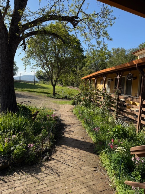 Front of the bed and breakfast