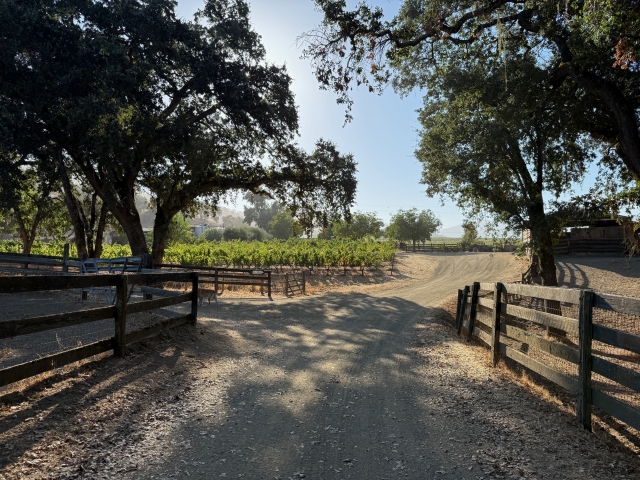 Path to vineyard past horse corrals on a Fall day
