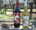 Racehorse Wines Link