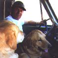 Jim with the dogs in the truck